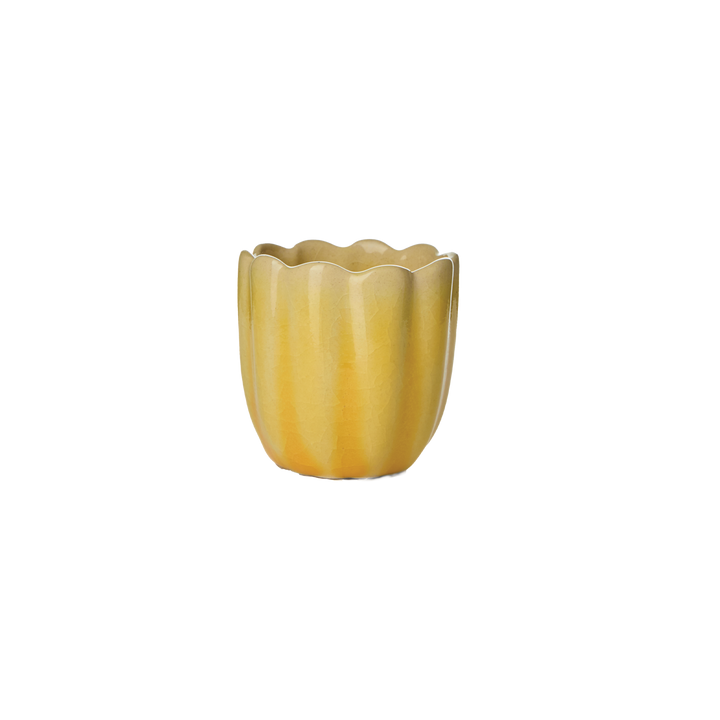 HULDA Äggkopp, Gul, 6-Pack