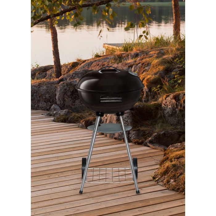 Mustang Kolgrill Basic 43