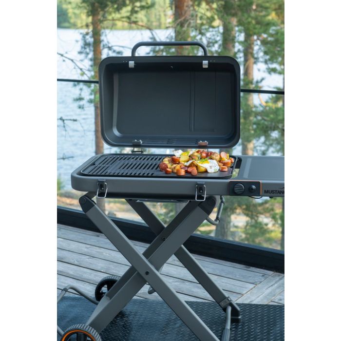 Mustang Gasgrill Fold