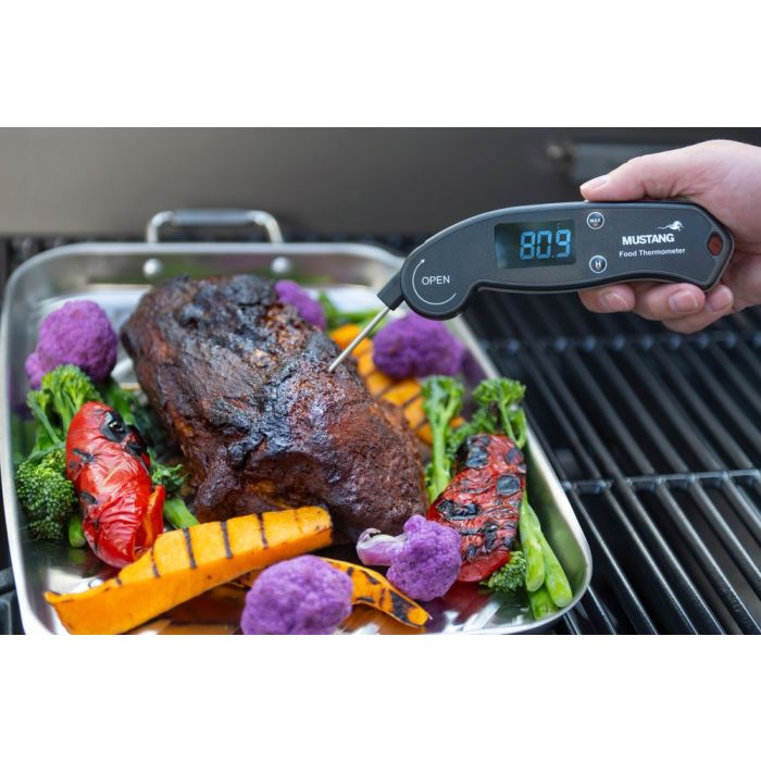 Mustang Digital termometer